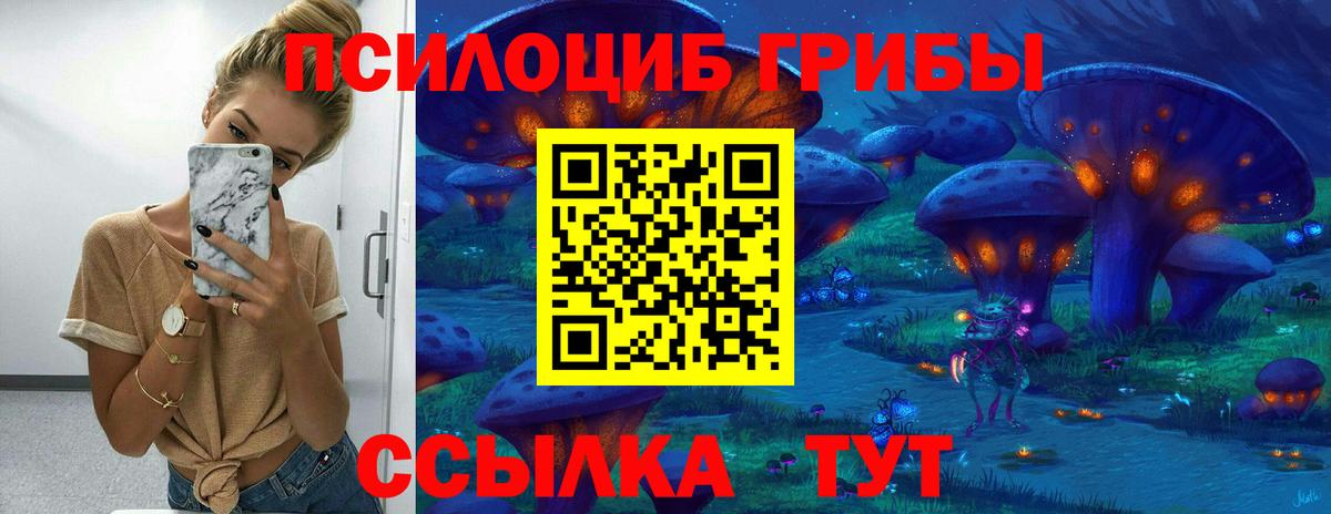 Галлюциногенные грибы GOLDEN TEACHER  Галлюциногенные грибы Psilocybine cubensis  Вход с VPN  Бердск 
