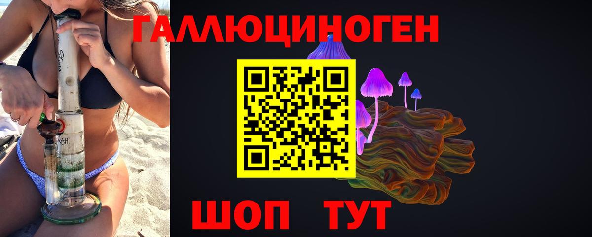 Псилоцибиновые грибы Psilocybine cubensis Бердск